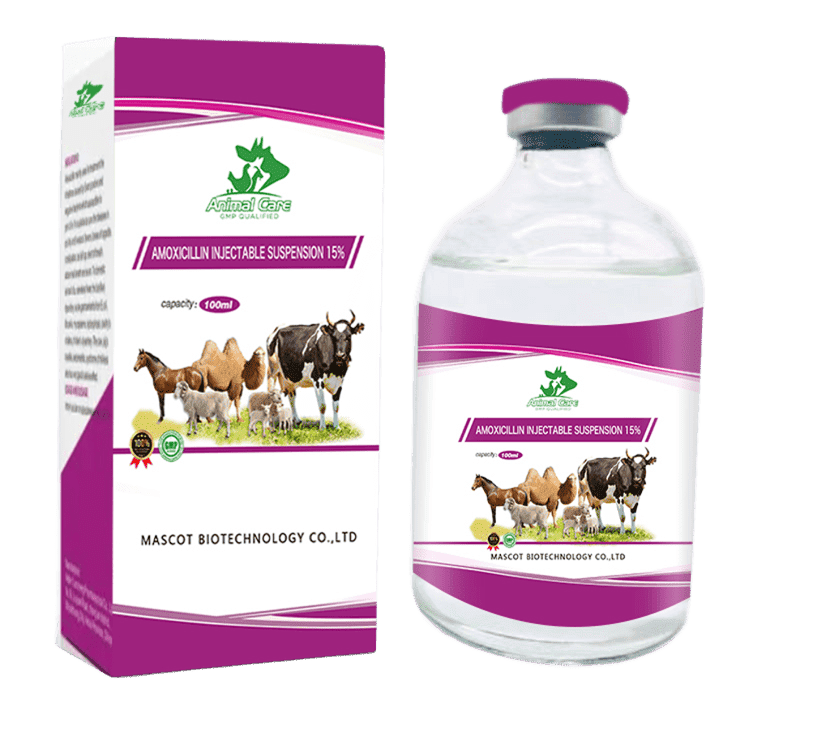 Amoxicillin Injectable Suspension, an antibiotic treatment for bacterial infections in animals, offering long-lasting effectiveness