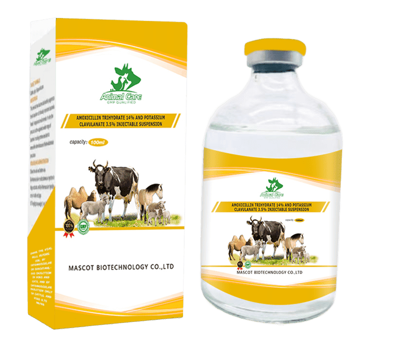 Amoxicillin Trihydrate 14 and Potassium Clavulanate, a potent antibiotic combination designed for treating bacterial infections in animals, providing enhanced effectiveness