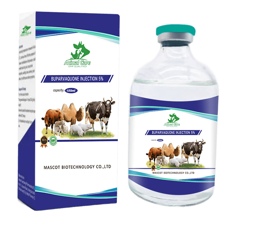 Buparvaquone Injection 5%, an effective treatment for protozoal infections in animals, particularly for controlling tropical theileriosis.