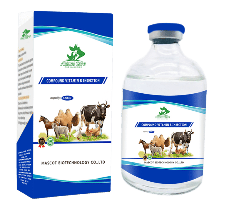 "Multivitamin + Amino Acid Injection, designed to provide essential vitamins and amino acids for improved health and recovery in animals."