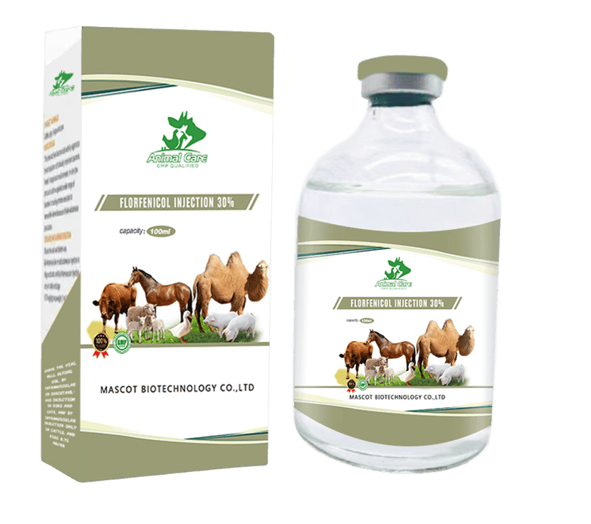 Florfenicol Injection 30%, an antibiotic used to treat bacterial infections in animals, providing effective control against a broad range of pathogens.