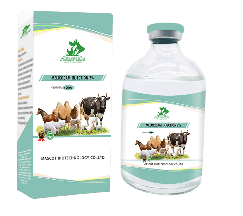 Meloxicam Injection 2%, a non-steroidal anti-inflammatory drug (NSAID) used to reduce inflammation and manage pain in animals.