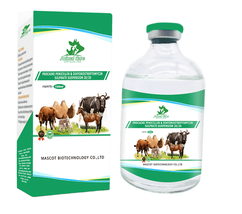 Procaine Penicillin and Dihydrostreptomycin Sulphate Suspension 20%+20%, a potent antibiotic combination for treating bacterial infections in animals.