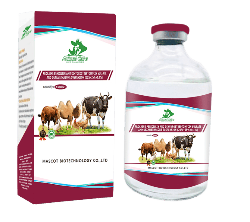 Procaine Penicillin, Dihydrostreptomycin Sulfate, and Dexamethasone Suspension, a combination treatment used to treat bacterial infections and inflammation in animals.