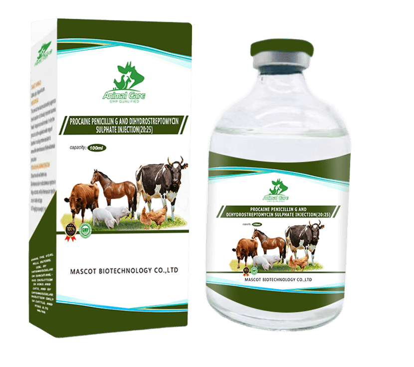 Procaine Penicillin G and Dihydrostreptomycin Sulphate Injection (20-25%), a combination antibiotic used to treat bacterial infections in animals.